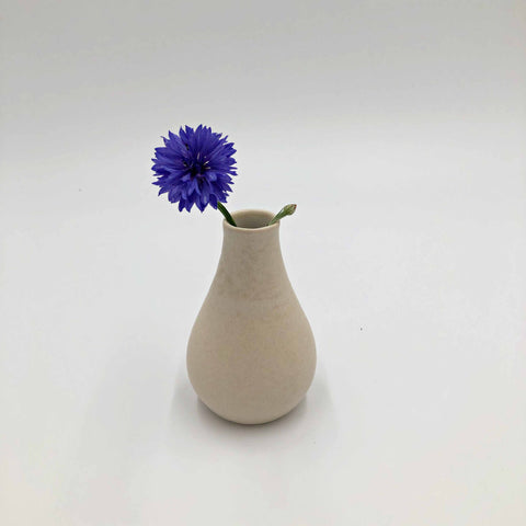 Vāzīte vienam ziediņam, Agnese Čemme Studio
