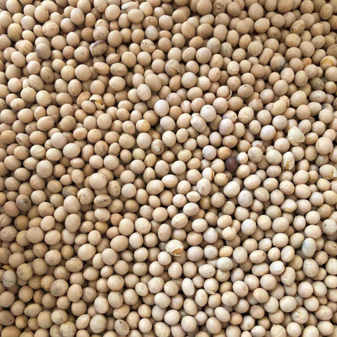 Sojas pupiņas BIO (sverams produkts)